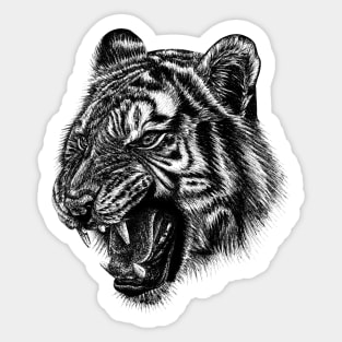 Fierce tiger Sticker